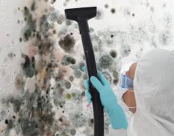 Best Mold Documentation for Insurance Claims  in Ferndale, WA